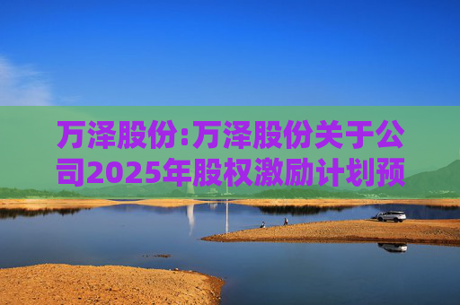 万泽股份:万泽股份关于公司2025年股权激励计划预留授予限制性股票登记完成的公告