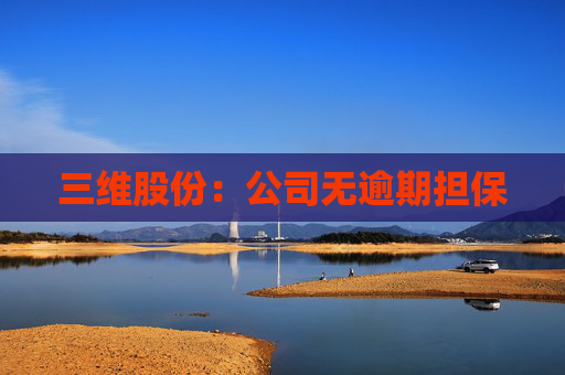 三维股份:公司无逾期担保