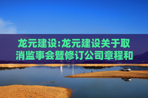 龙元建设:龙元建设关于取消监事会暨修订公司章程和相关制度的公告  第1张