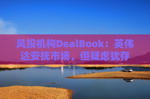 风投机构DealBook:英伟达安抚市场,但疑虑犹存
