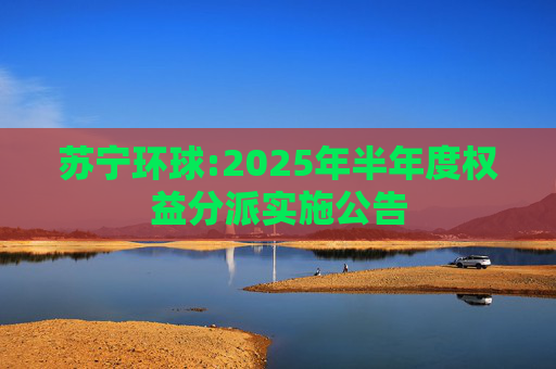 苏宁环球:2025年半年度权益分派实施公告