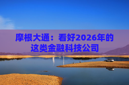摩根大通：看好2026年的这类金融科技公司