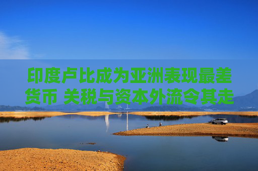 印度卢比成为亚洲表现最差货币 关税与资本外流令其走弱