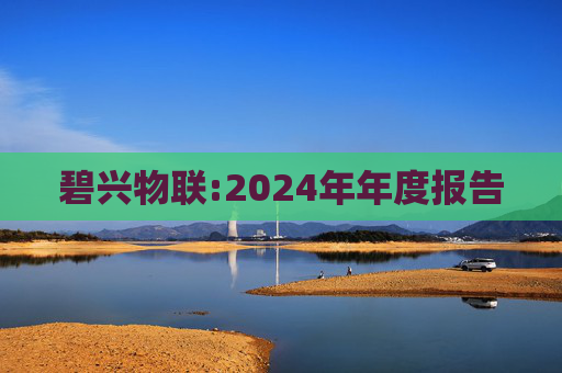 碧兴物联:2024年年度报告