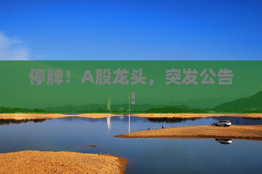 停牌!A股龙头,突发公告!