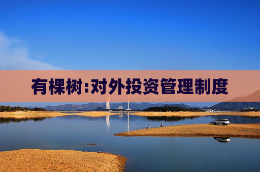 有棵树:对外投资管理制度  第1张