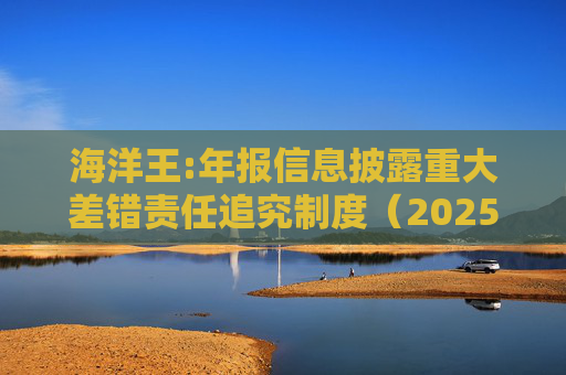 海洋王:年报信息披露重大差错责任追究制度（2025年12月）