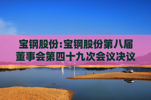宝钢股份:宝钢股份第八届董事会第四十九次会议决议公告