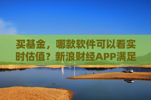 买基金，哪款软件可以看实时估值？新浪财经APP满足你的投资需求