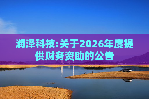 润泽科技:关于2026年度提供财务资助的公告  第1张