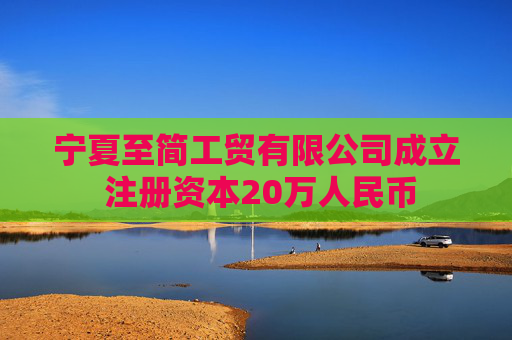 宁夏至简工贸有限公司成立 注册资本20万人民币  第1张