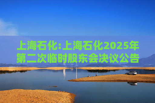 上海石化:上海石化2025年第二次临时股东会决议公告