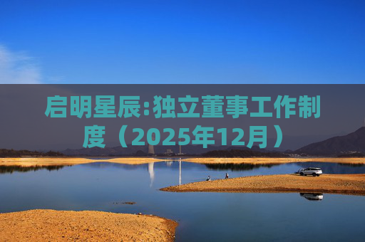 启明星辰:独立董事工作制度（2025年12月）  第1张