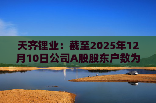 天齐锂业：截至2025年12月10日公司A股股东户数为307706户
