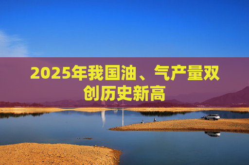 2025年我国油、气产量双创历史新高
