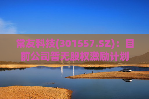 常友科技(301557.SZ)：目前公司暂无股权激励计划