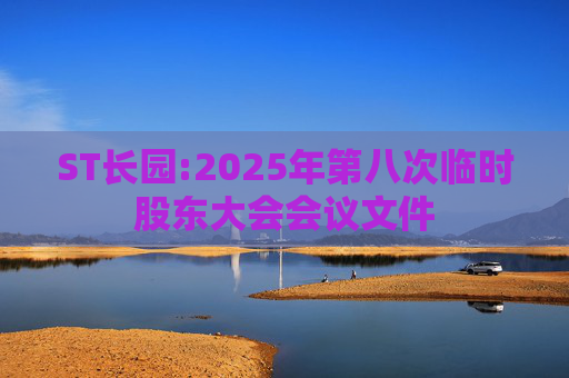 ST长园:2025年第八次临时股东大会会议文件