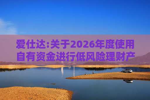 爱仕达:关于2026年度使用自有资金进行低风险理财产品投资的公告