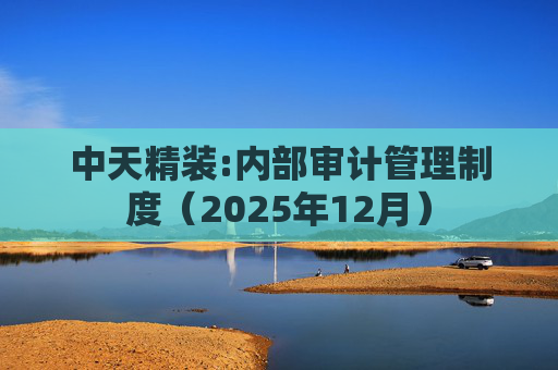 中天精装:内部审计管理制度(2025年12月)