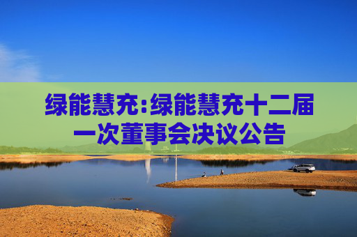 绿能慧充:绿能慧充十二届一次董事会决议公告