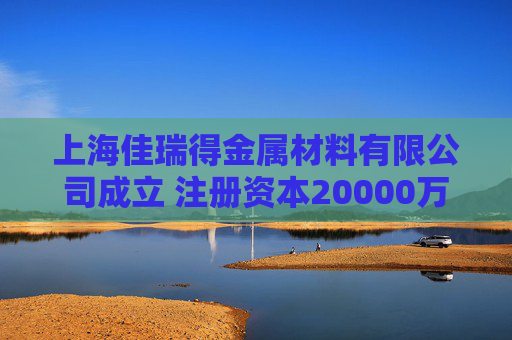 上海佳瑞得金属材料有限公司成立 注册资本20000万人民币  第1张