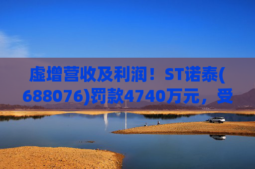 虚增营收及利润！ST诺泰(688076)罚款4740万元，受损投资者可索赔！