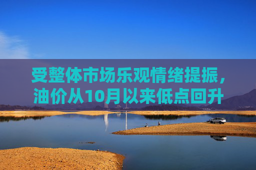 受整体市场乐观情绪提振，油价从10月以来低点回升