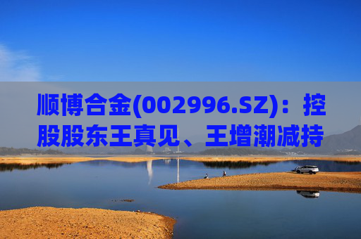 顺博合金(002996.SZ):控股股东王真见、王增潮减持1371.88万股公司股份