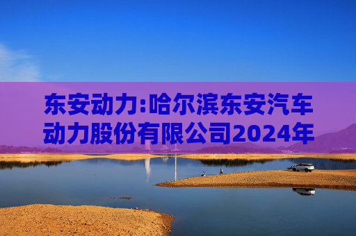 东安动力:哈尔滨东安汽车动力股份有限公司2024年度内部控制审计报告