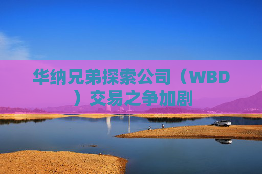 华纳兄弟探索公司（WBD）交易之争加剧
