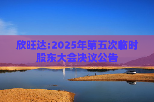 欣旺达:2025年第五次临时股东大会决议公告  第1张