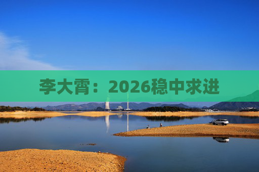 李大霄：2026稳中求进