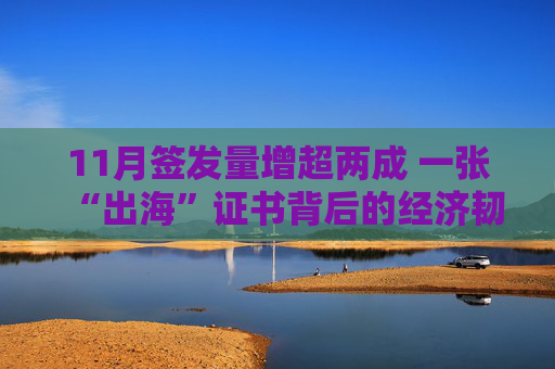 11月签发量增超两成 一张“出海”证书背后的经济韧性  第1张