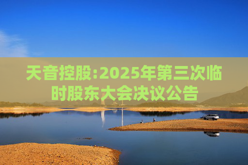 天音控股:2025年第三次临时股东大会决议公告