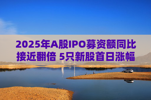 2025年A股IPO募资额同比接近翻倍 5只新股首日涨幅超6倍
