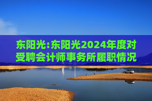 东阳光:东阳光2024年度对受聘会计师事务所履职情况的评估报告