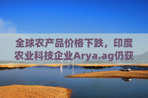 全球农产品价格下跌,印度农业科技企业Arya.ag仍获投资者青睐并持续盈利 第1张 全球农产品价格下跌,印度农业科技企业Arya.ag仍获投资者青睐并持续盈利 第1张