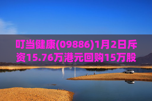 叮当健康(09886)1月2日斥资15.76万港元回购15万股  第1张