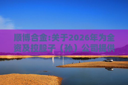 顺博合金:关于2026年为全资及控股子（孙）公司提供担保的公告  第1张