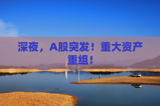 深夜，A股突发！重大资产重组！