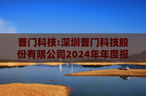 普门科技:深圳普门科技股份有限公司2024年年度报告