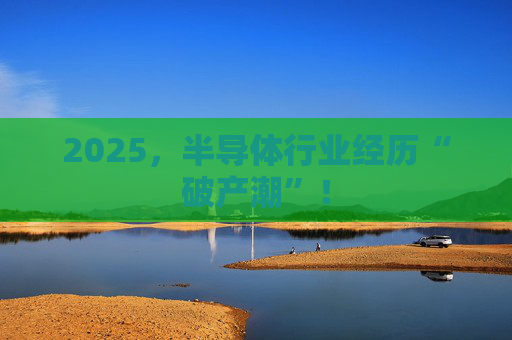 2025，半导体行业经历“破产潮”！