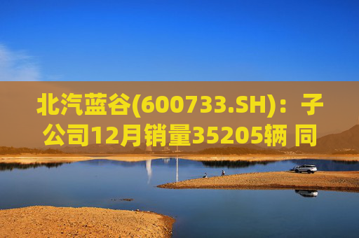 北汽蓝谷(600733.SH)：子公司12月销量35205辆 同比增长114.56%