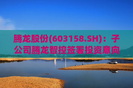 腾龙股份(603158.SH)：子公司腾龙智控签署投资意向协议  第1张