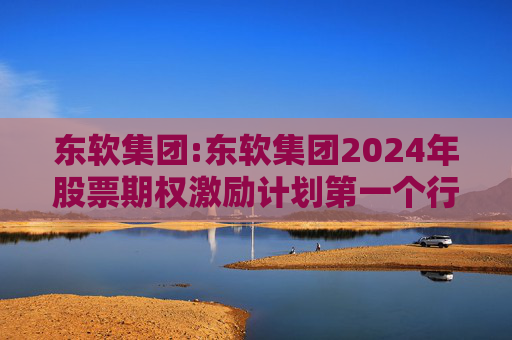 东软集团:东软集团2024年股票期权激励计划第一个行权期2025年第四季度自主行权结果暨股份变动的公告