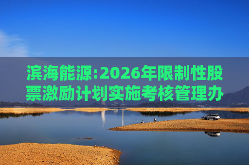 滨海能源:2026年限制性股票激励计划实施考核管理办法  第1张