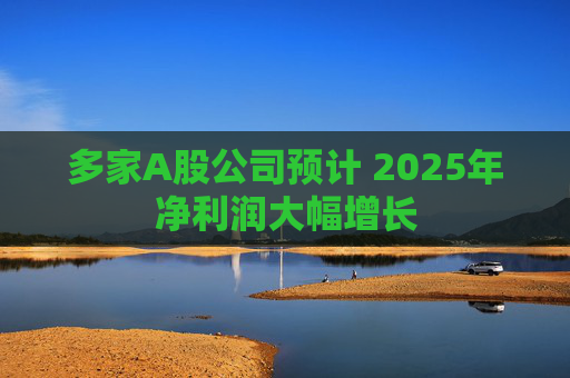 多家A股公司预计 2025年净利润大幅增长