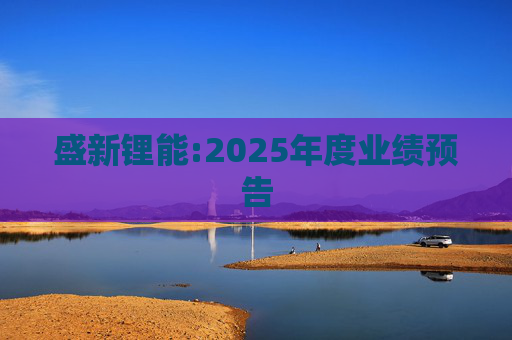 盛新锂能:2025年度业绩预告  第1张