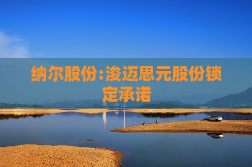 纳尔股份:浚迈思元股份锁定承诺