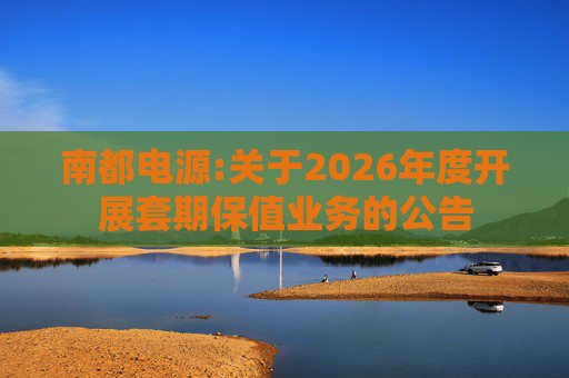 南都电源:关于2026年度开展套期保值业务的公告